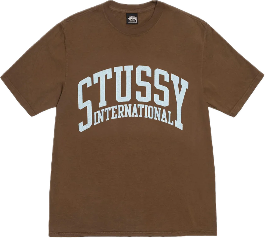 Stussy International Pigment Dyed Brown Tee